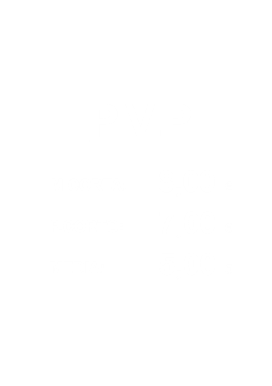 P.V.P